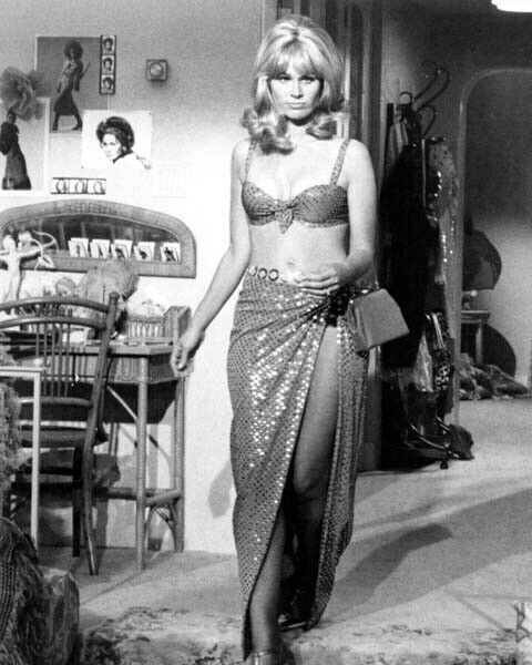 Suzy Kendall 1960\'s pin-up in bra top and skirt 8x10 inch photo