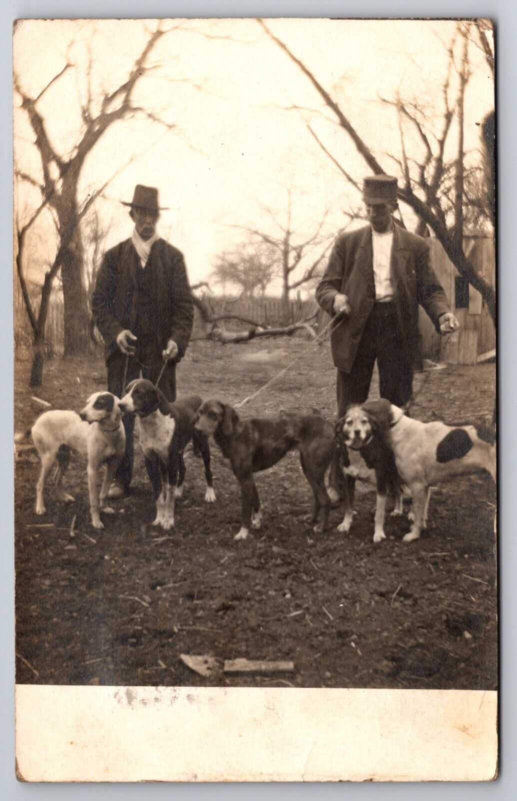 Hunting Dogs Jeromesville Ohio OH Ashland County 1911 Real Photo RPPC