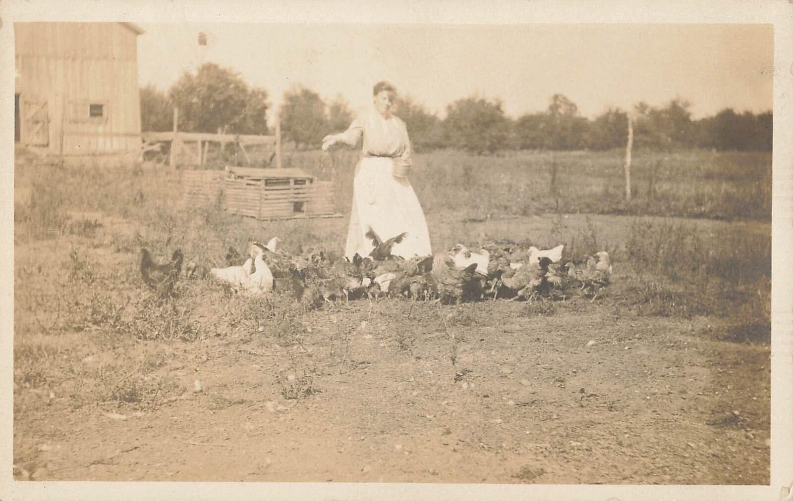 RPPC 1910s Real Photo Postcard Old Farm Woman Feeding Chickens 