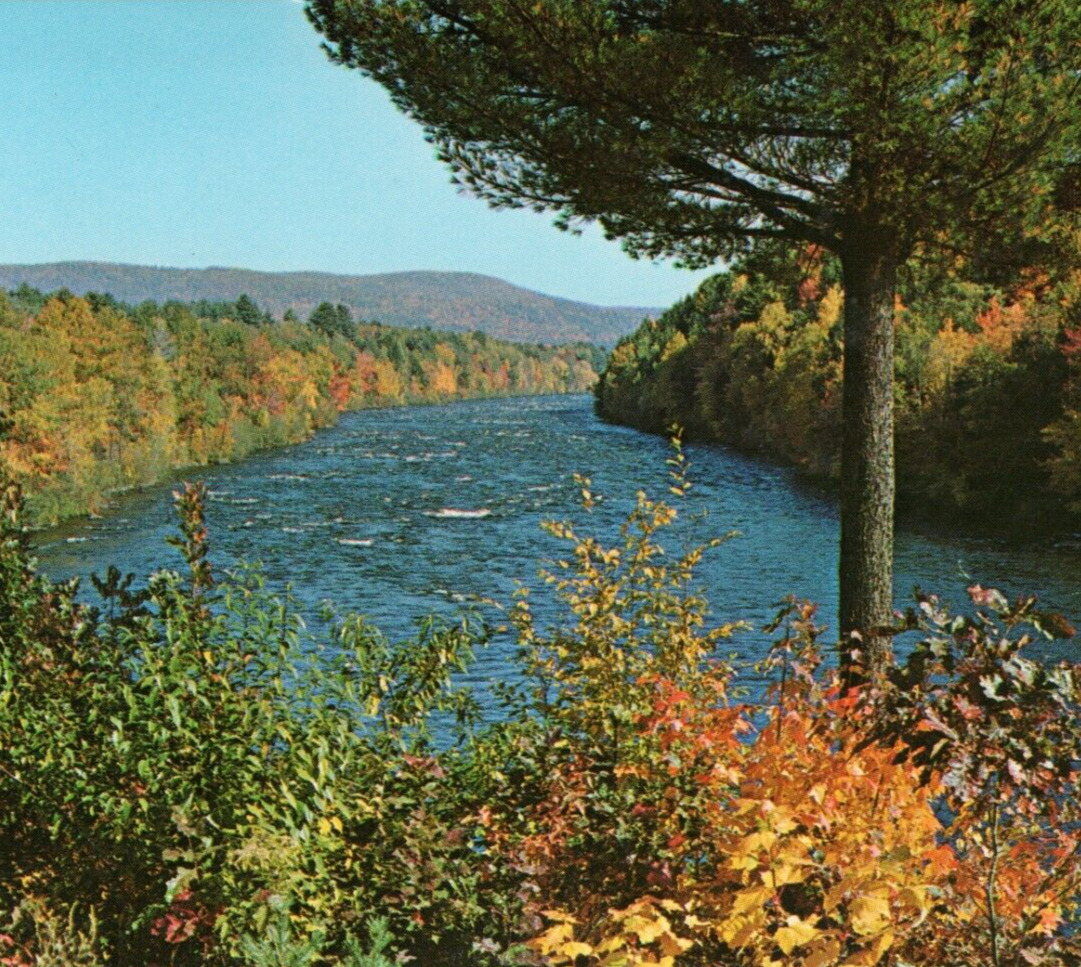 Sacandaga River Adirondacks, Lake Luzerne, New York 1960s Vintage Postcard UNP