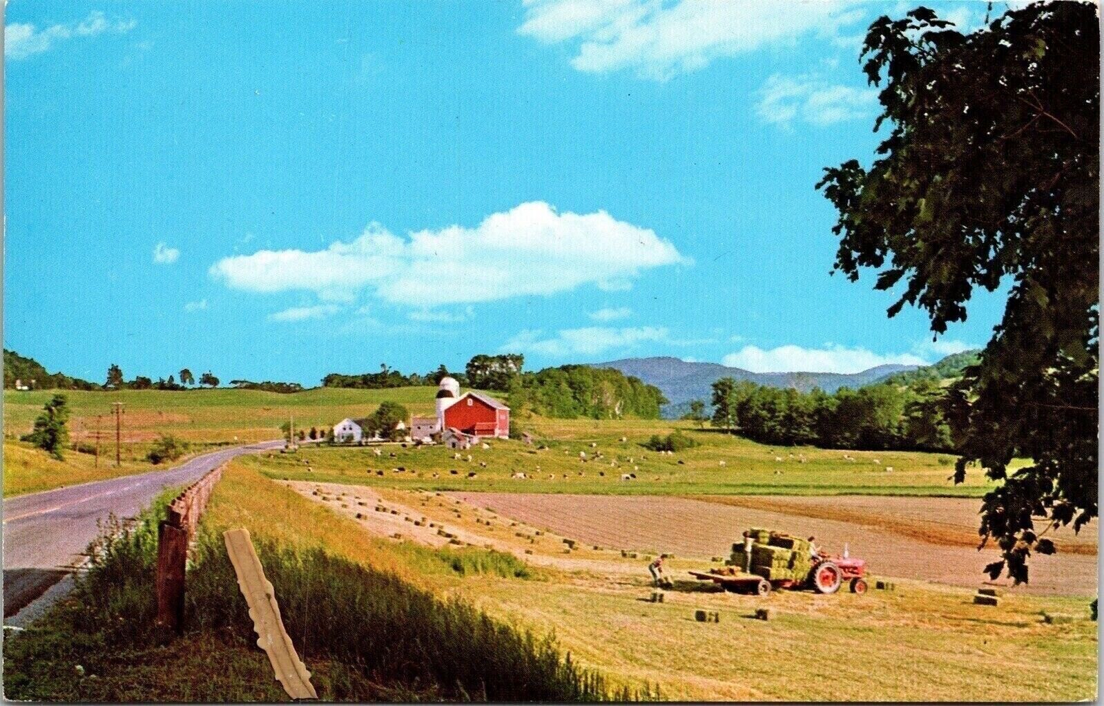 Typical Vermont Farm Scene Rt 30 Dorset Poultney Vermont Vt 1966 Cancel Postcard