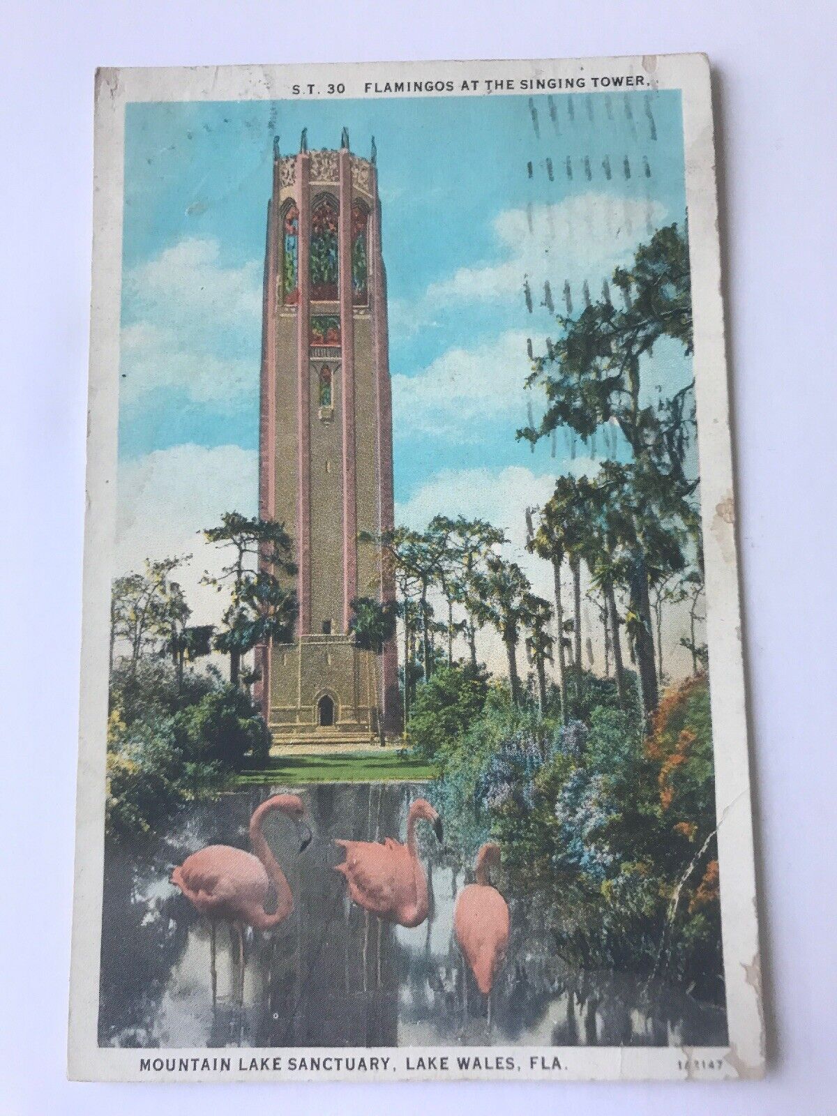 Postcard FL Lake Wales Flamingos Singing Tower Daytime View Posted c1932