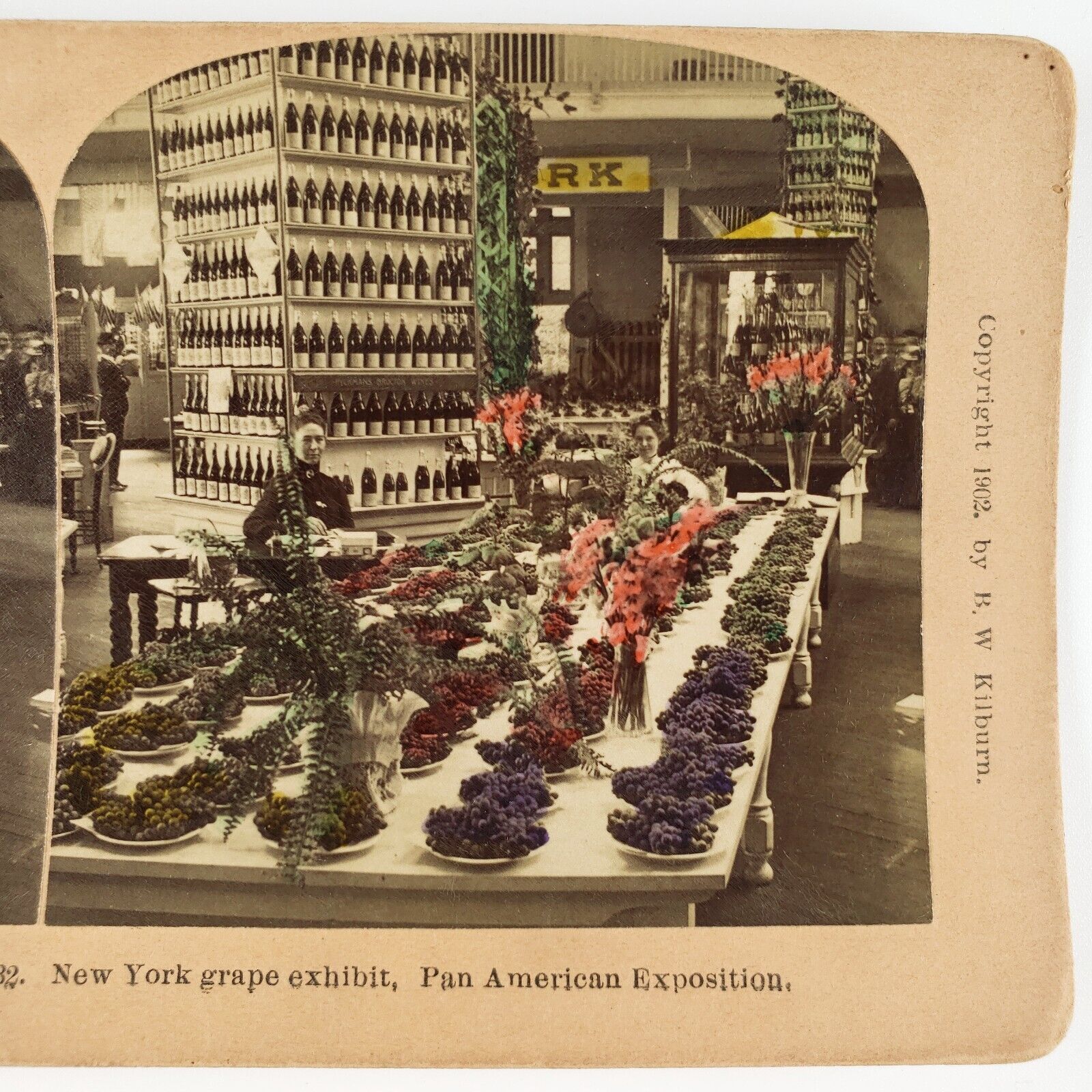 New York Grape Exhibit Stereoview c1902 Tinted Pan American Exposition B2135