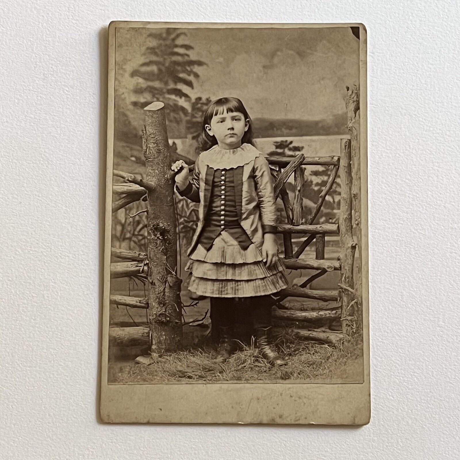Antique Cabinet Card Photograph Adorable Little Girl Great Dress Tree Fence