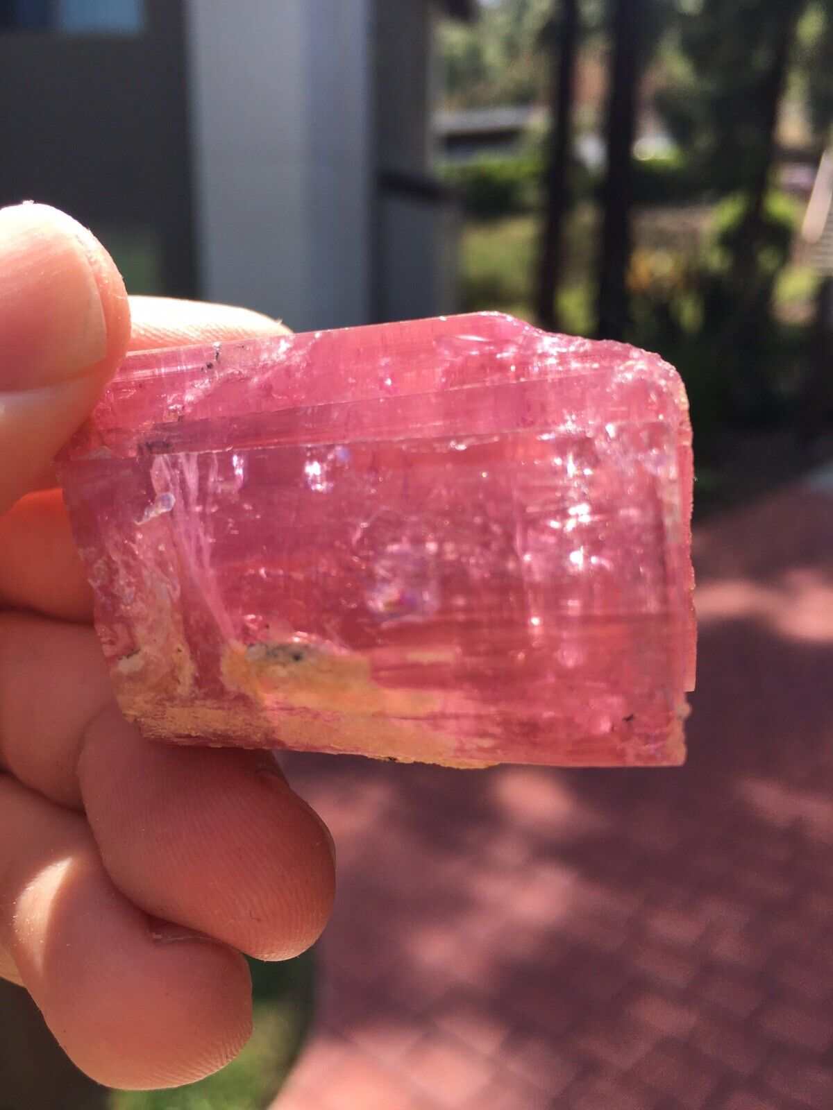 Pink Rubellite Tourmaline xl: Himalaya Mine. San Diego Co., California  480cts
