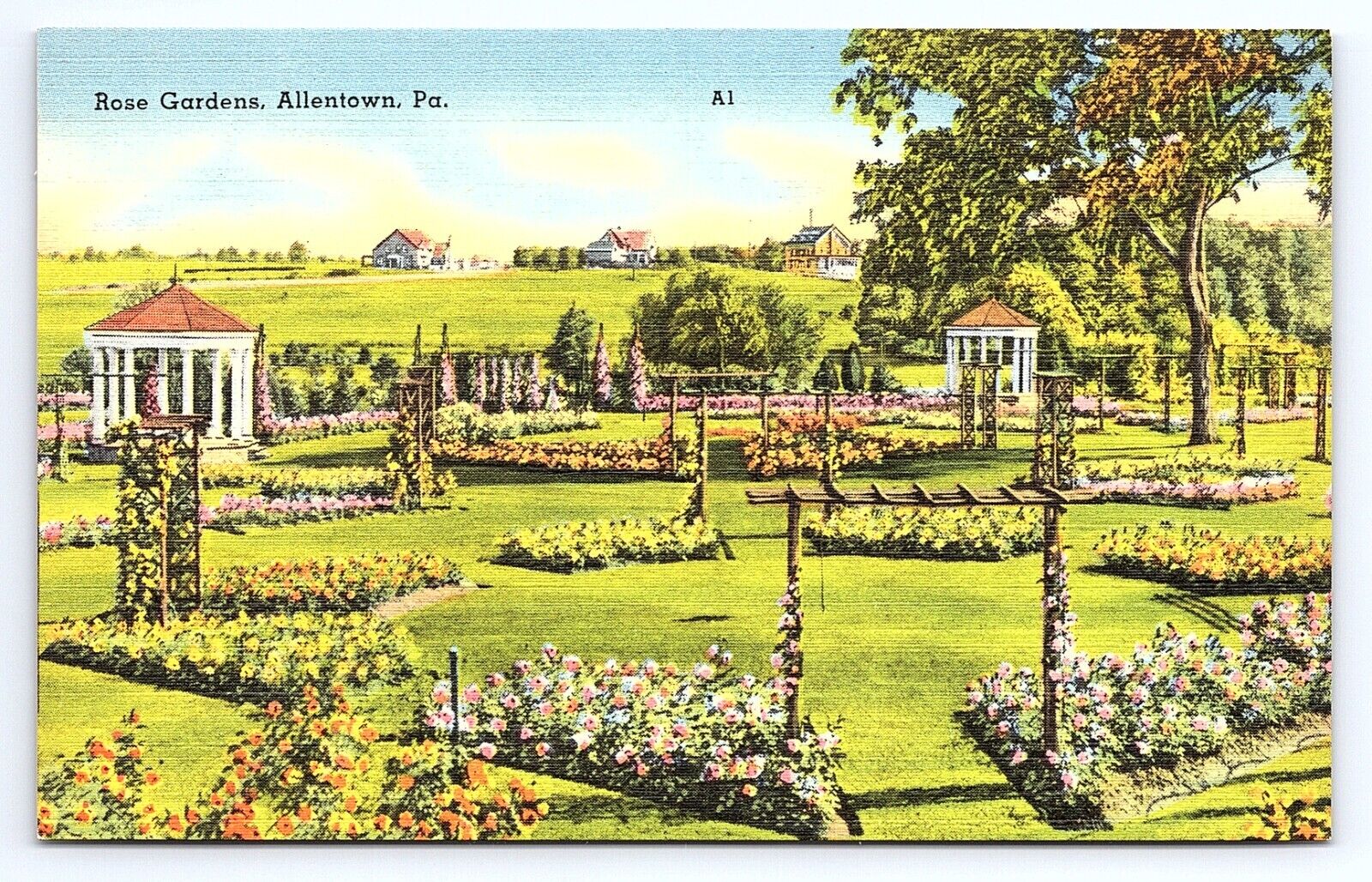 Postcard Rose Gardens in Allentown Pennsylvania PA