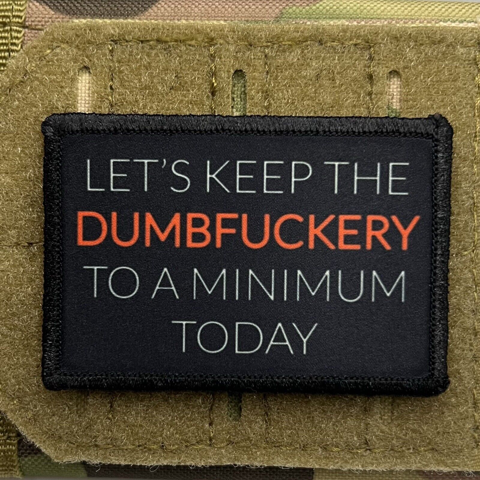 Let’s Keep the Dumbness to a Minimum Today / Military Badge Tactical Hook 402