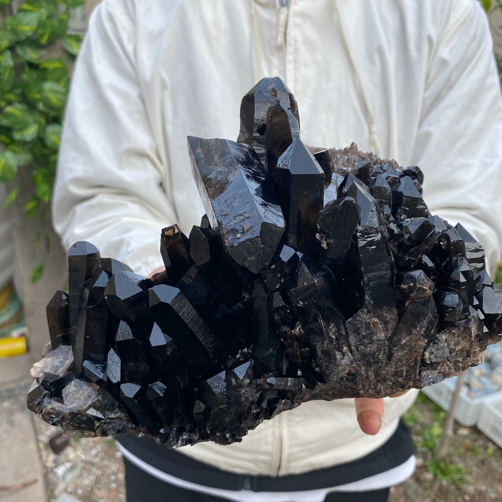 6.1LB Large Natural Black Smoky Quartz Crystal Cluster Rough Mineral Specimen