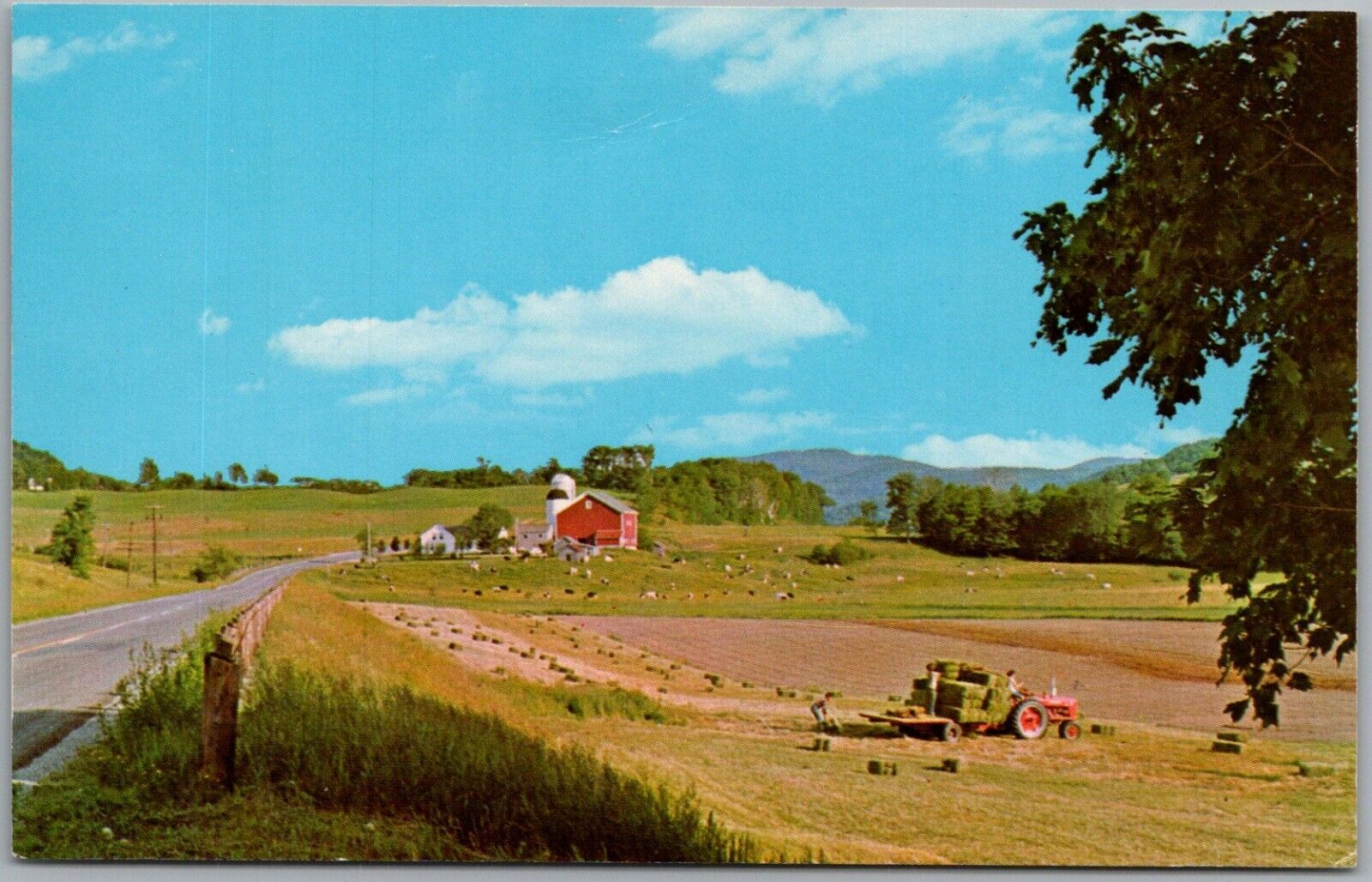 Typical Vermont Farm Scene Between Dorset & Poultney Vermont Postcard Q357