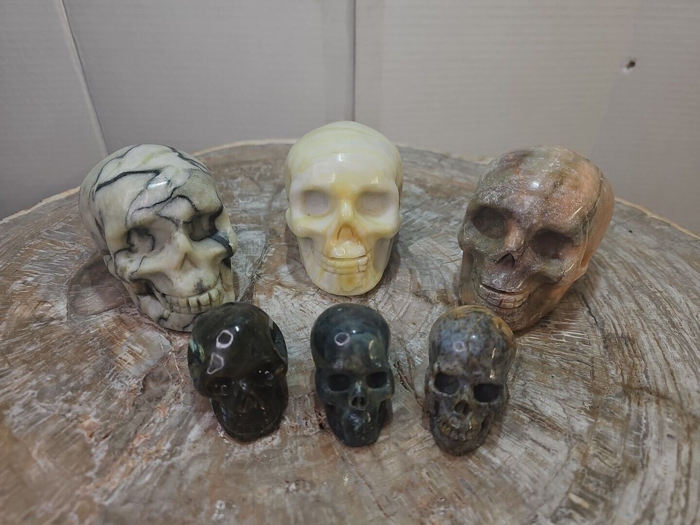 4.48 6Pcs Natural Jasper  Skulls Crystal Carving Mixed Stones Healing GREAT LOT