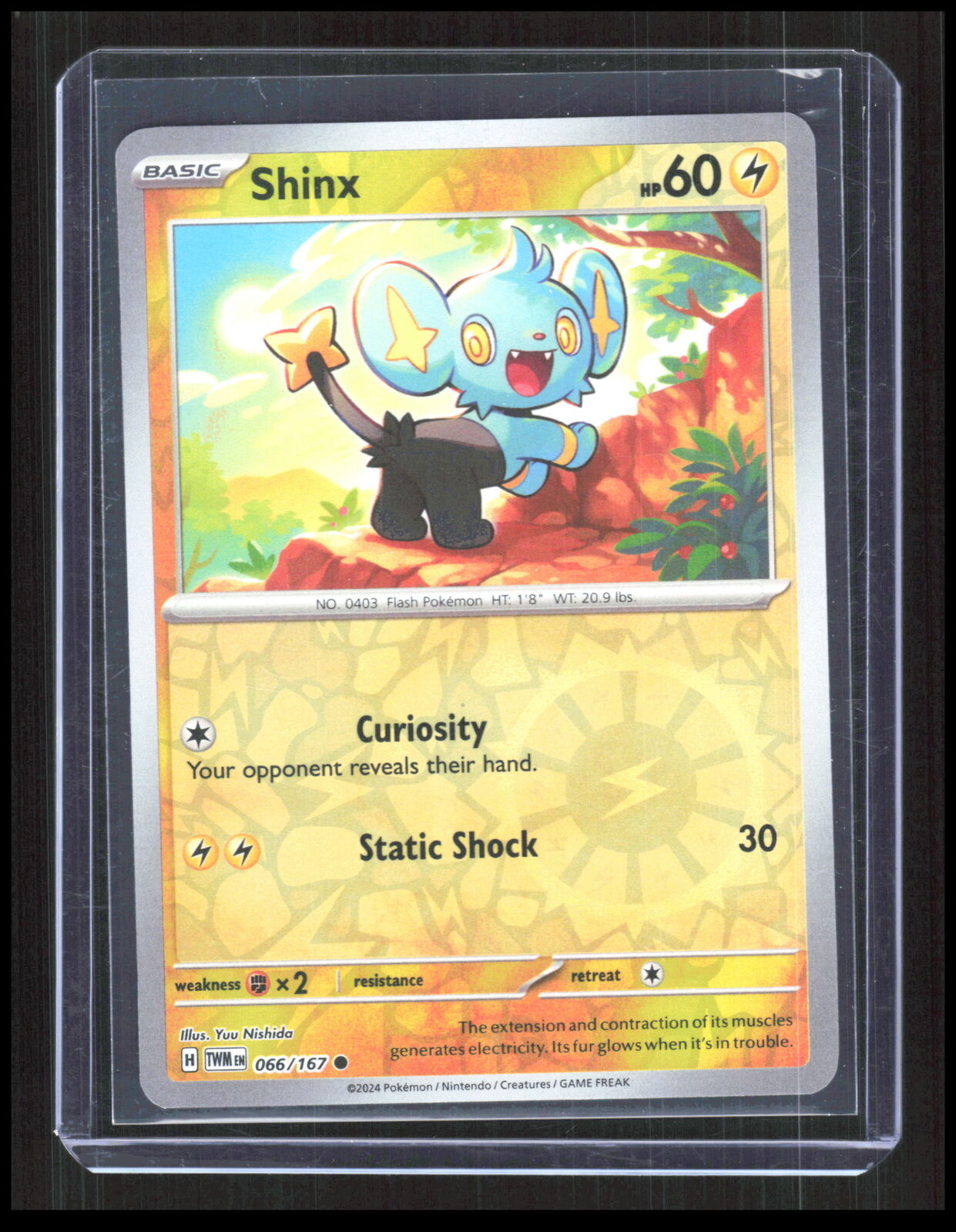Shinx 066/167 Reverse Holo SV06: Twilight Masquerade Pokemon CB-2-4-D-4
