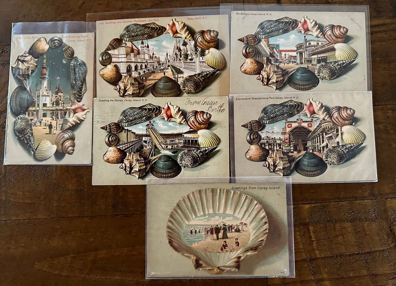 Lot of 6 Antique Souvenir Shells Seashell Border~Postcards~Coney Island, NY~k487