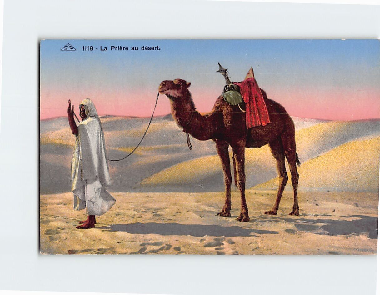 Postcard La Prière Au Desert Camel Desert Scene