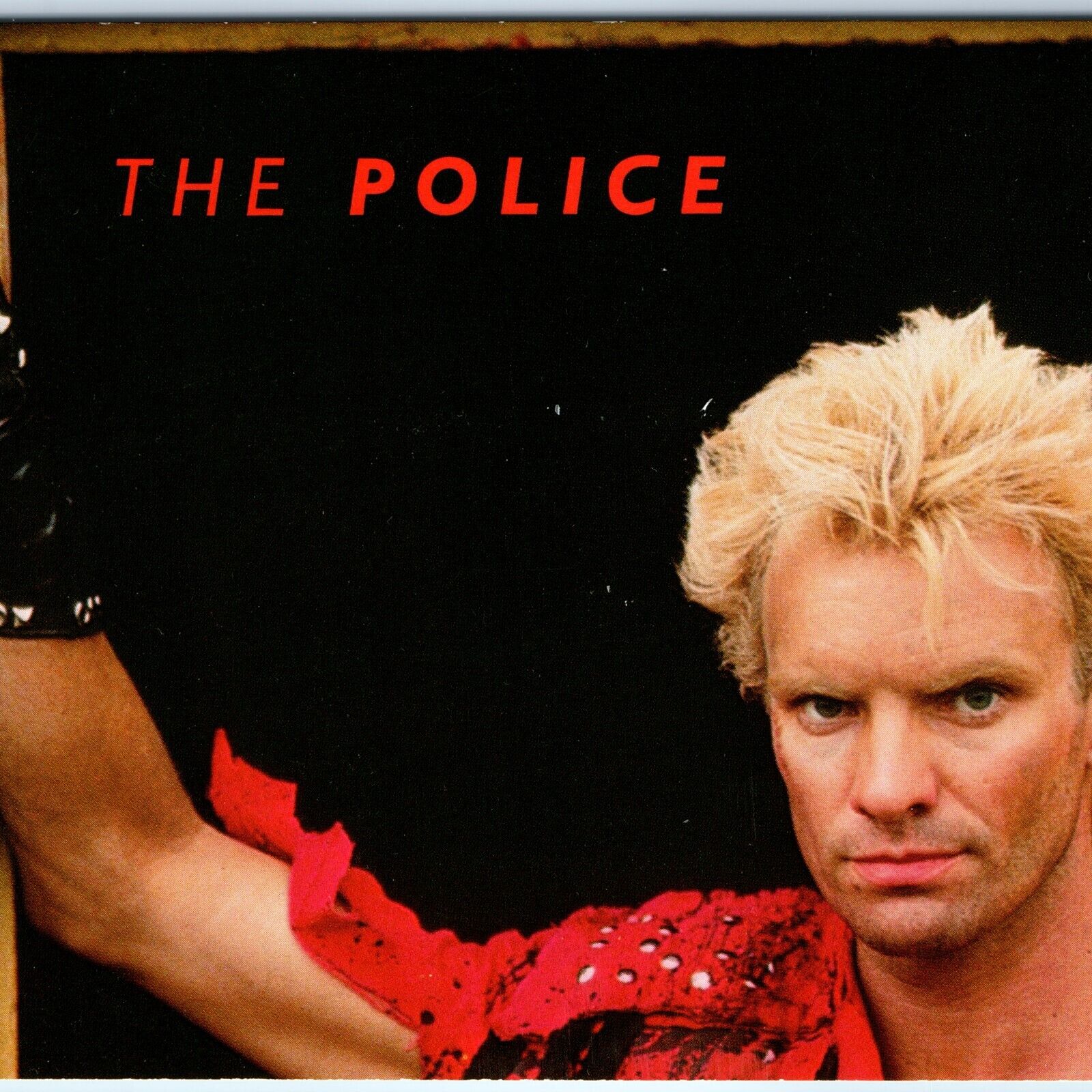 1984 The Police Sting Portrait Chrome Photo 4x6 Postcard Roxanna Music Freezz M3