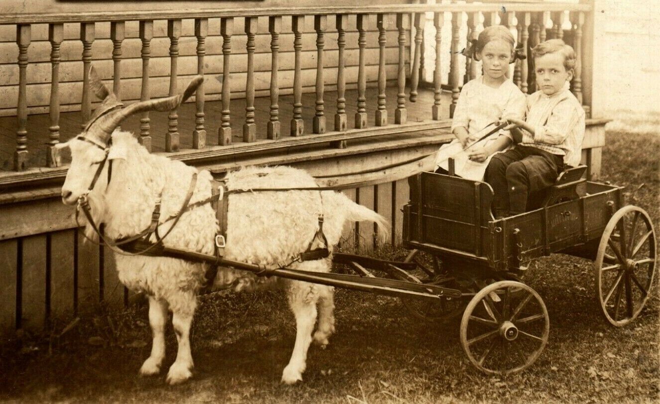 Goat Cart Wagon with Francis & Kenneth Curran Minneapolis MN 1910 era RPPC RR1