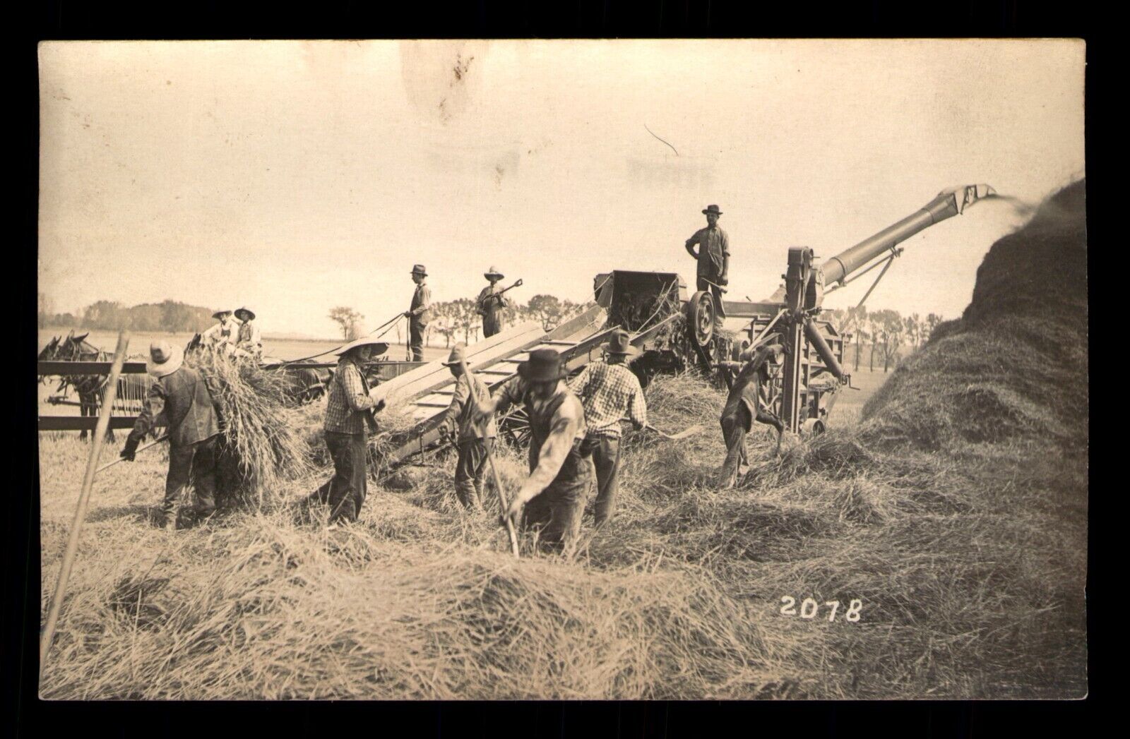 RPPC 1914 Threshing Kansas Wheat Postcard