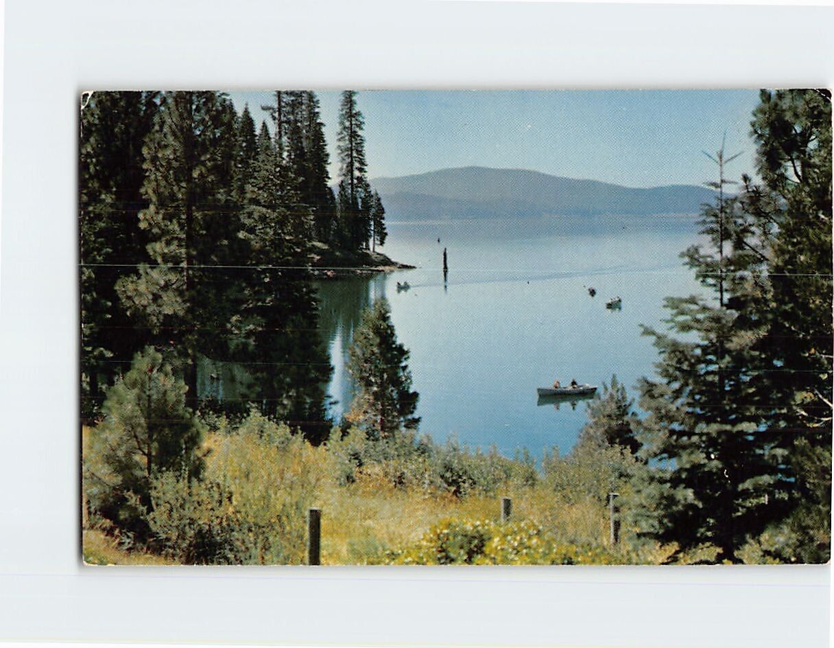 Postcard Fishing at Lake Almanor California USA