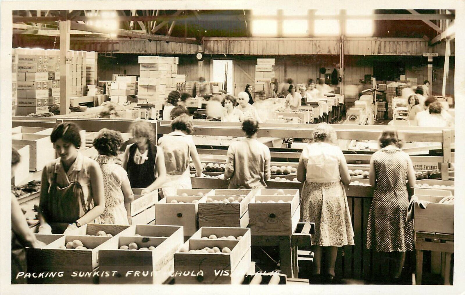 1930s RPPC Interior Sunkist Citrus Fruit Packing House Chula Vista CA Women Work