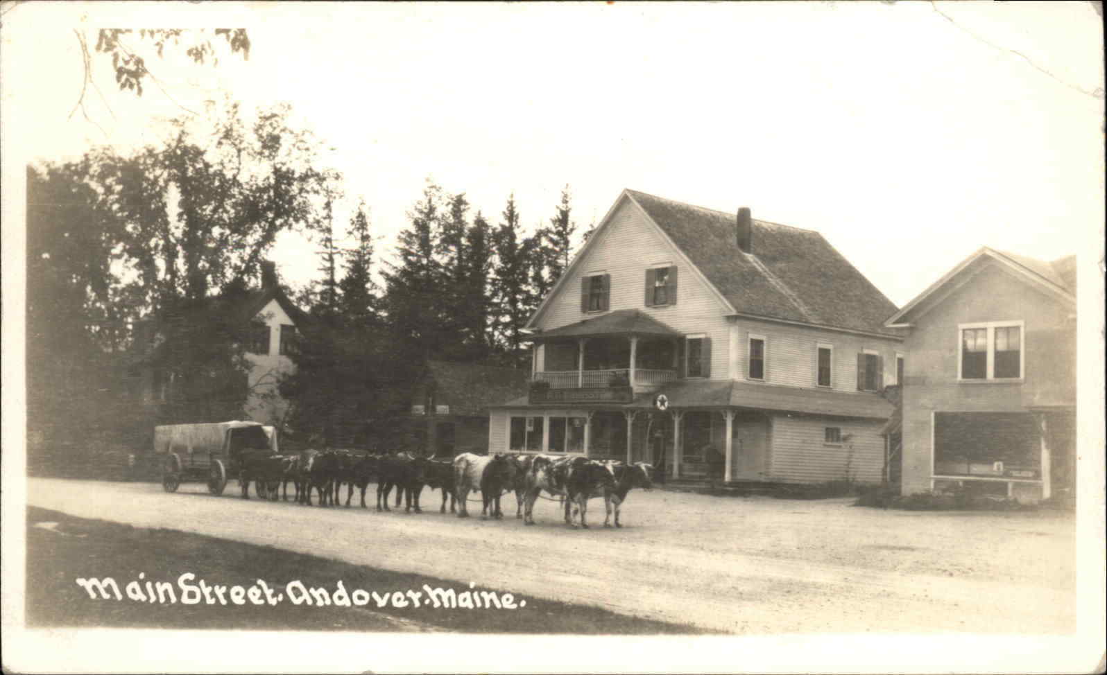 Andover Maine ME Oxen Main St. c1930s Real Photo Postcard