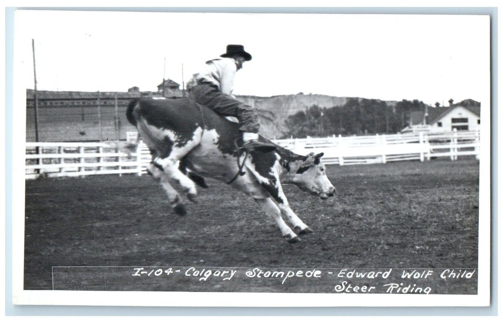 c1910's Edward Wolf Child Steer Riding Alberta Canada RPPC Photo Postcard