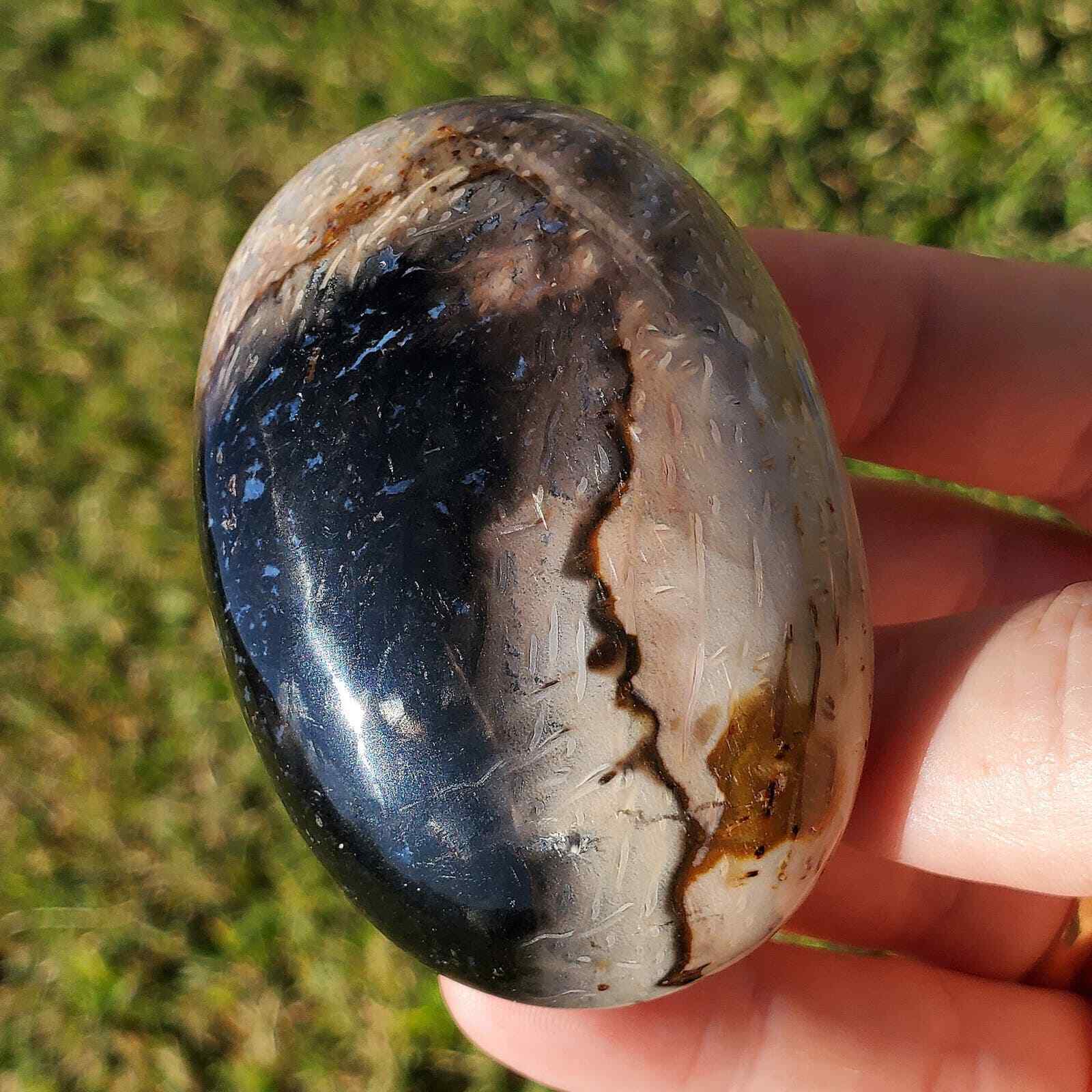 Fossilized Palm Root Palm Stone Indonesia Agate Collectible Quality Gifts B