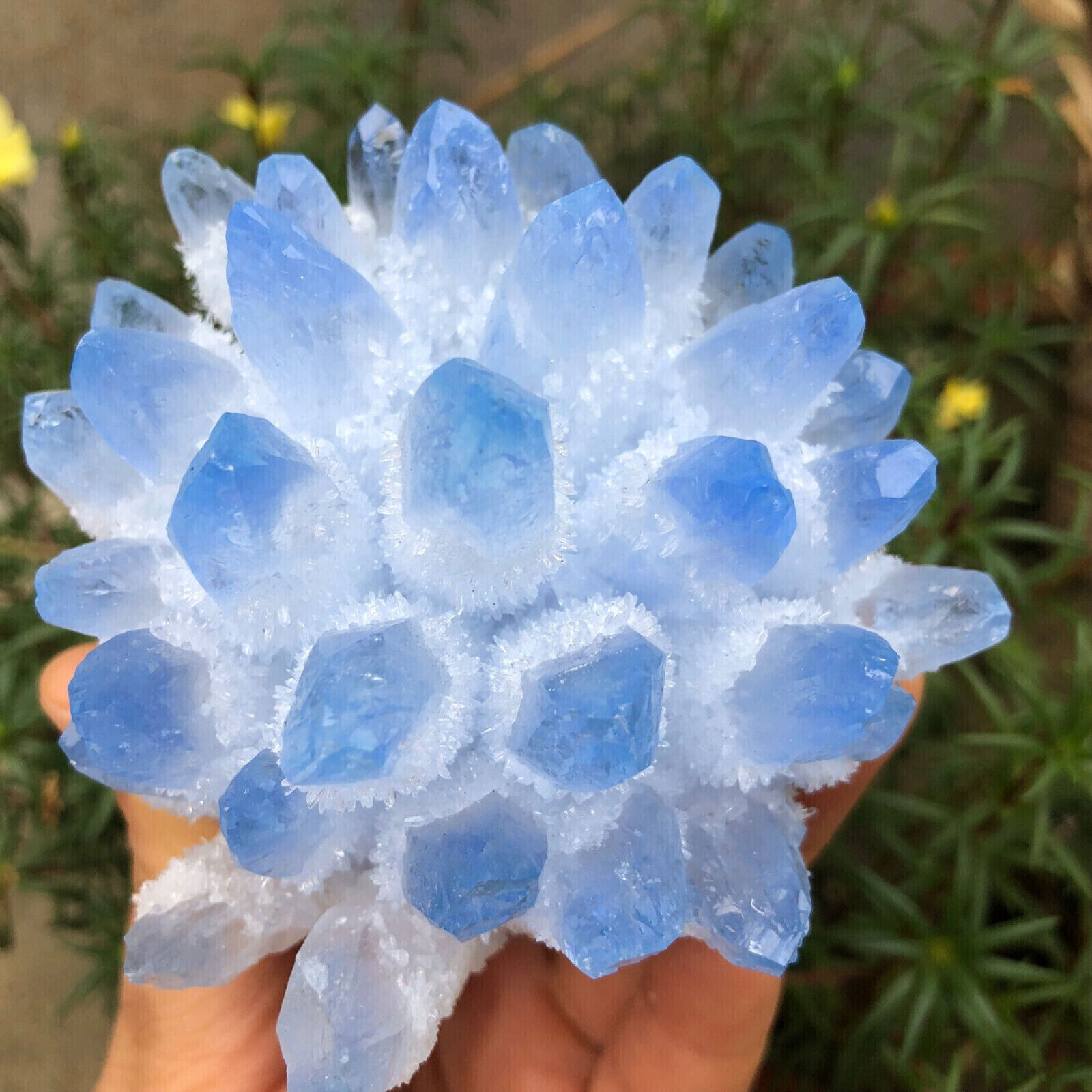 300g+ New Find Blue Phantom Quartz Crystal Cluster Mineral Specimen Gem