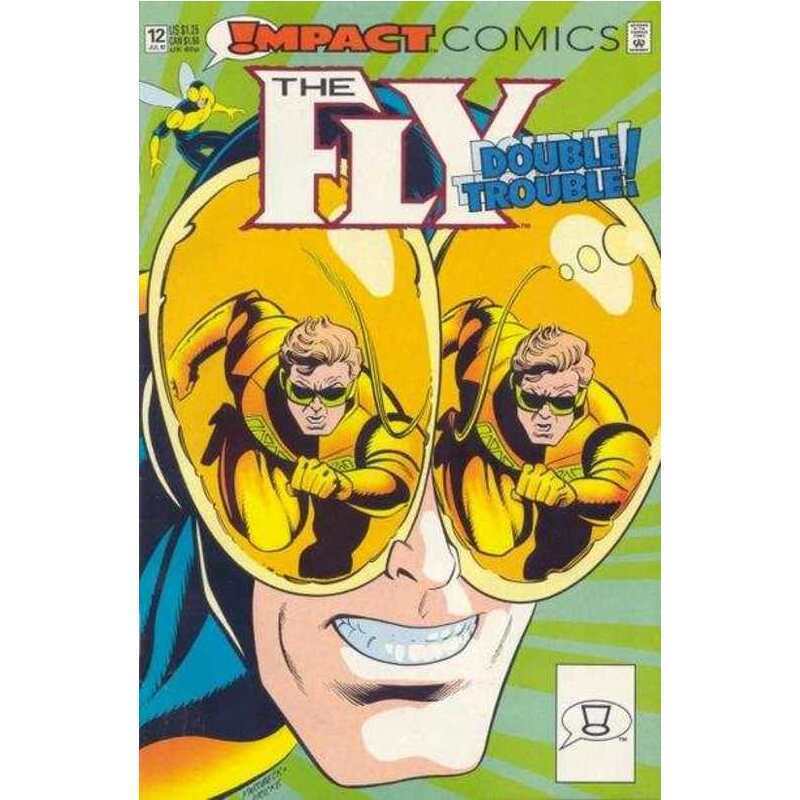 Fly (1991 series) #12 in Near Mint minus condition. DC comics [z 