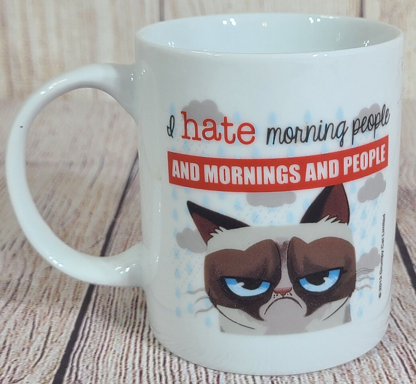 Ganz Grumpy Cat Mug I Hate Morning People Coffee Mug Cup White 4\