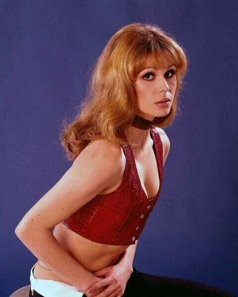 Joanna Lumley early 1970's portrait skimpy outfit with bare midriff 24x36 Poster