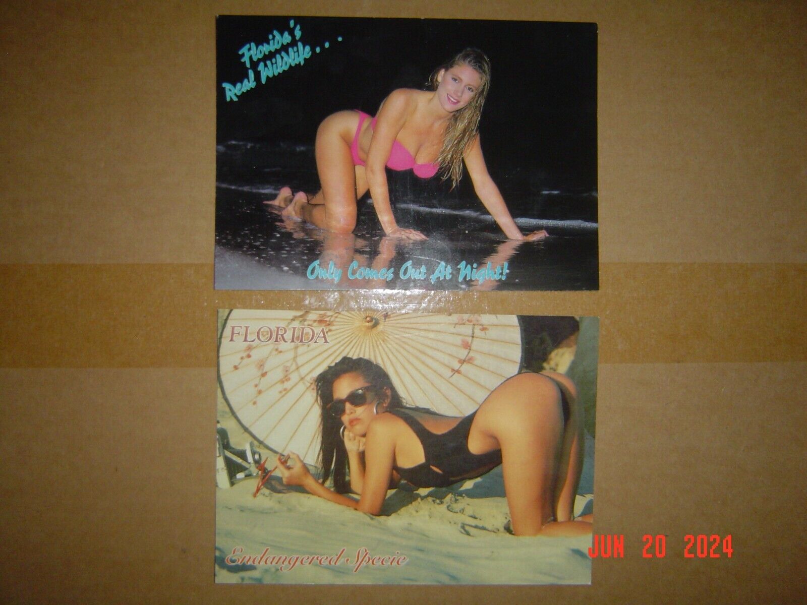 Sexy Postcards with Florida's Real Wildlife and Endangered Species - Lot of 2