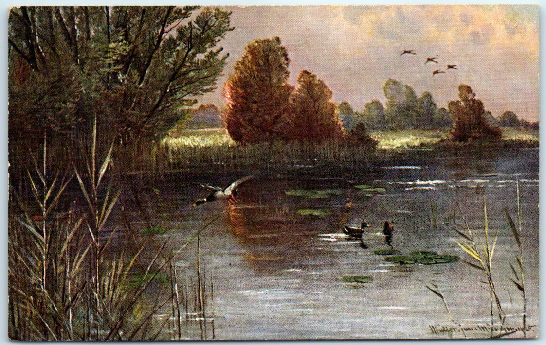 Postcard - Lake Scenery