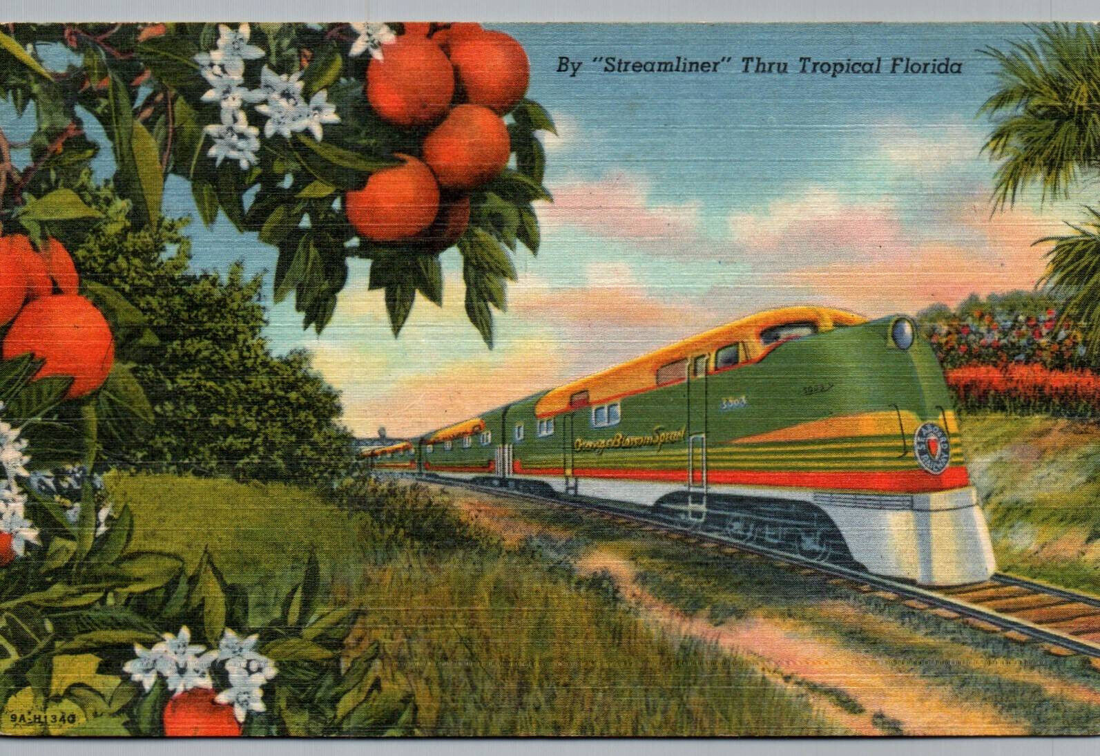 Postcard Florida Train Orange Blossom Special Miami Streamliner 1956 Posted