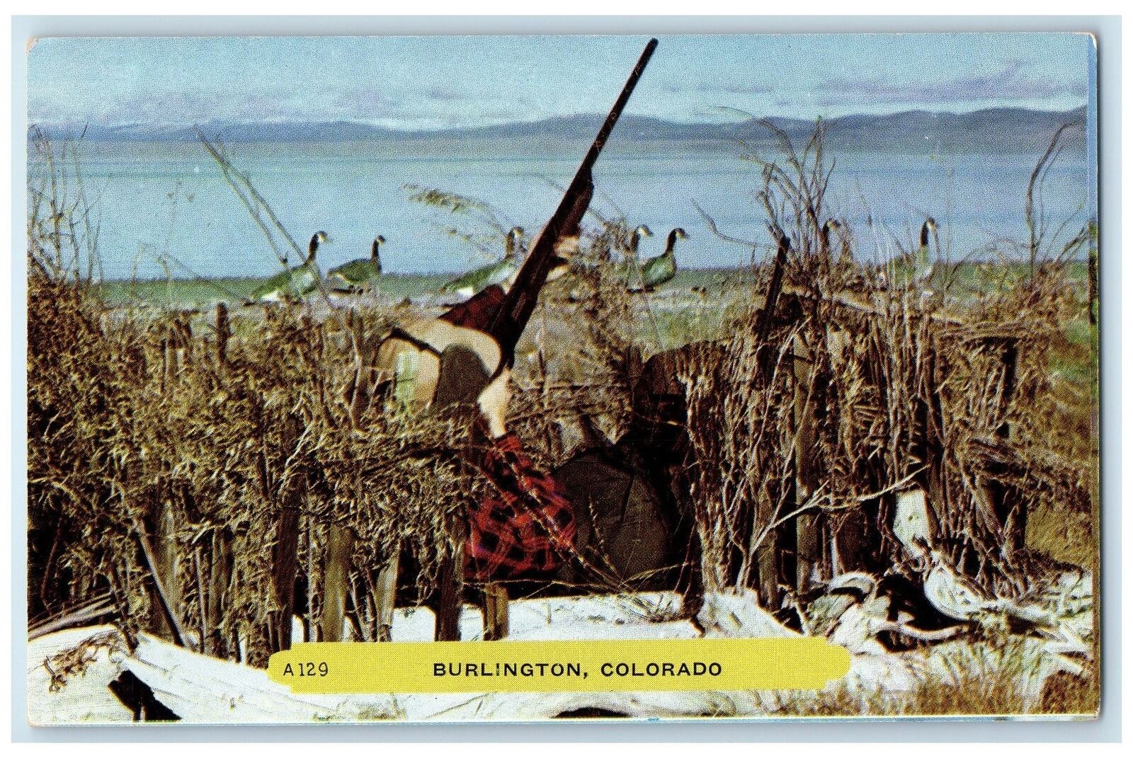 c1960's Duck Hunting Scene Burlington Colorado CO Unposted Vintage Postcard