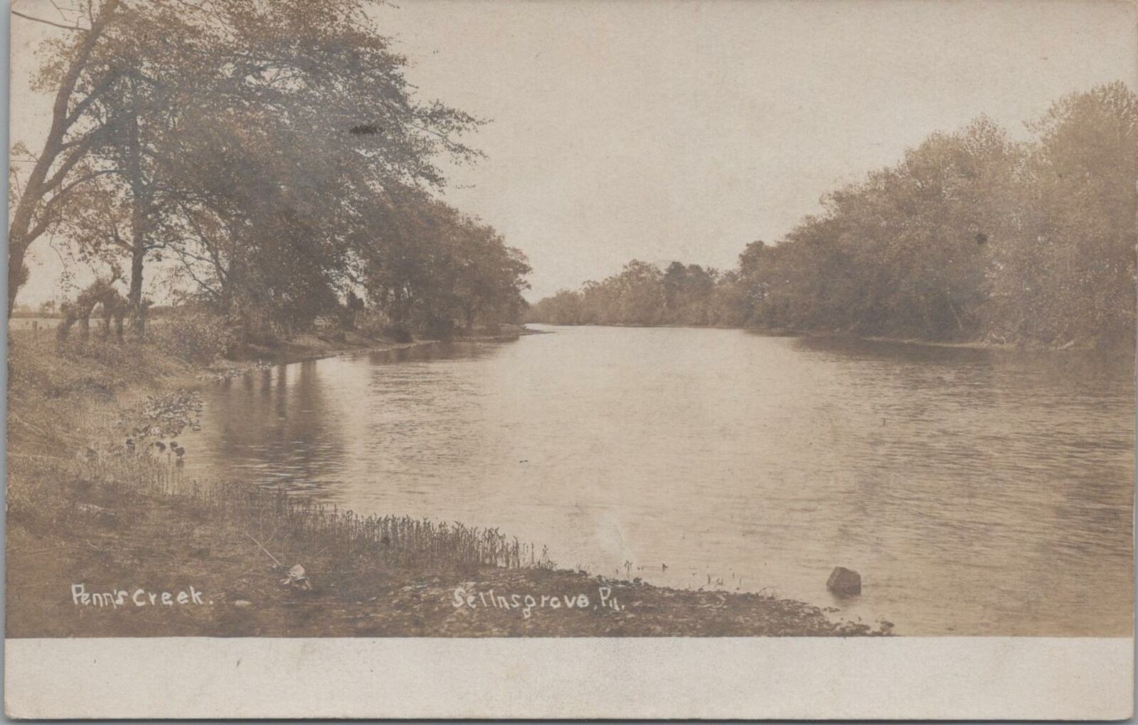 RPPC Postcard Penn's Creek Selinsgrove PA 1907 