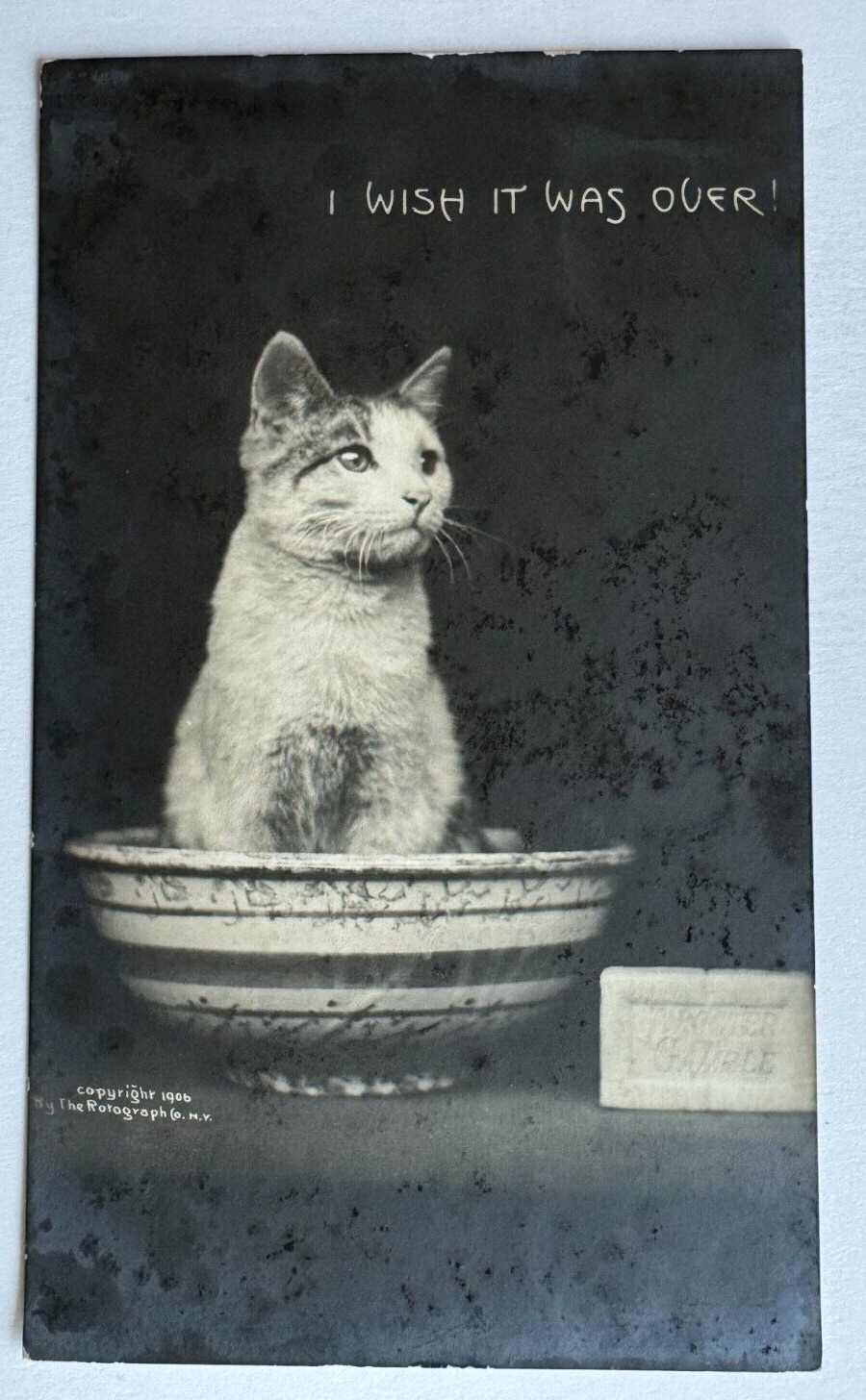 Vintage 1906 RPPC Postcard Cat Bath soap tub 