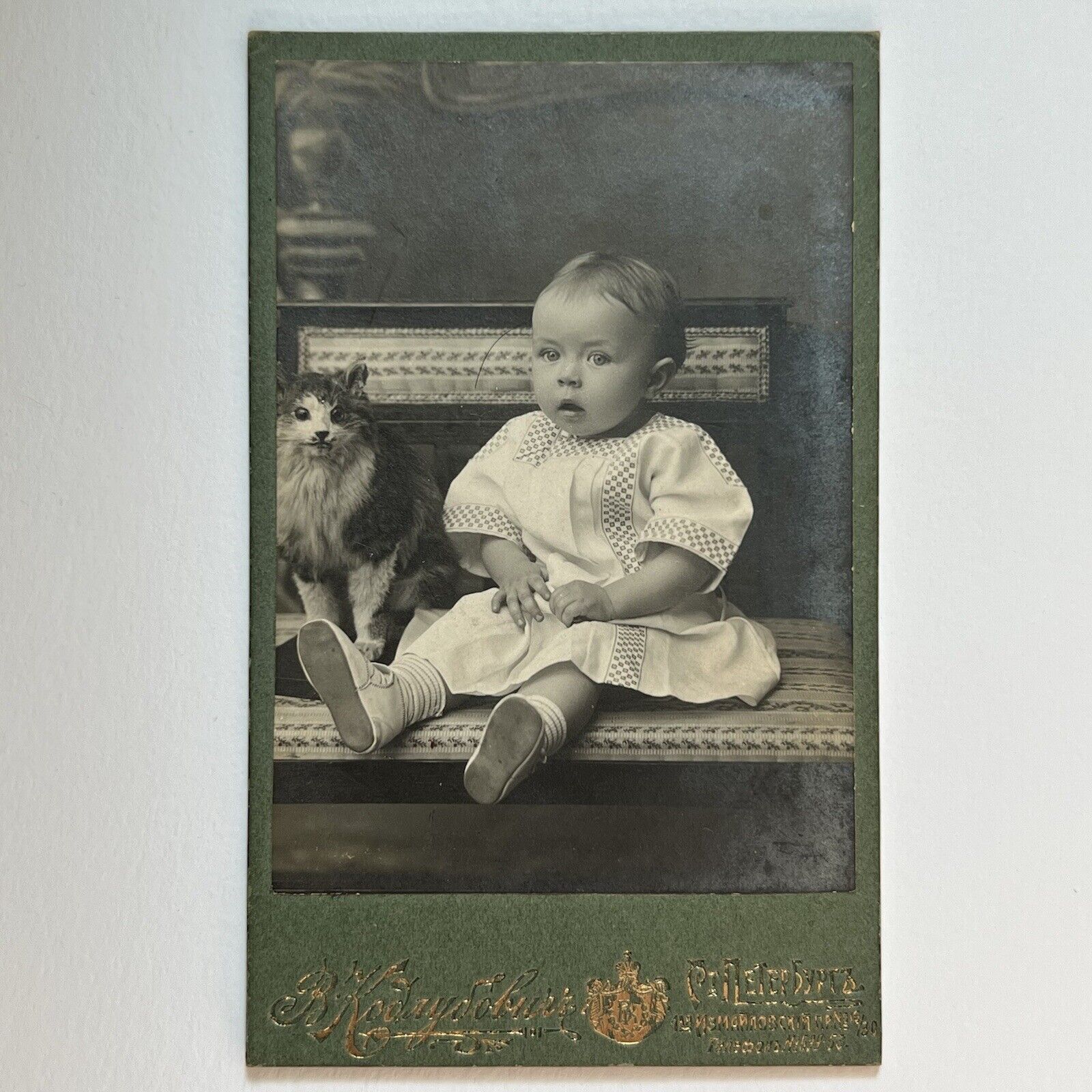 Antique CDV Photograph Adorable Baby With Taxidermy Cat Spooky Odd Russia