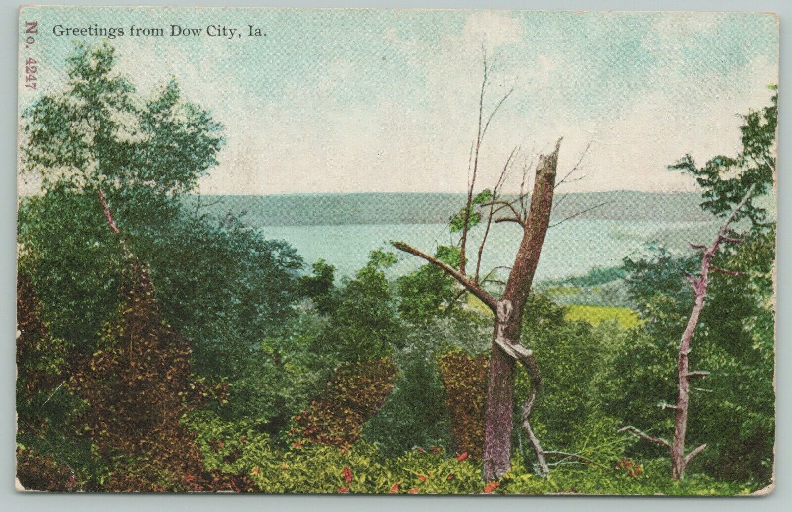 Dow City IA~Broken Off Tree~Boyer? River @ Flood Stage*~Greetings~1912 Postcard