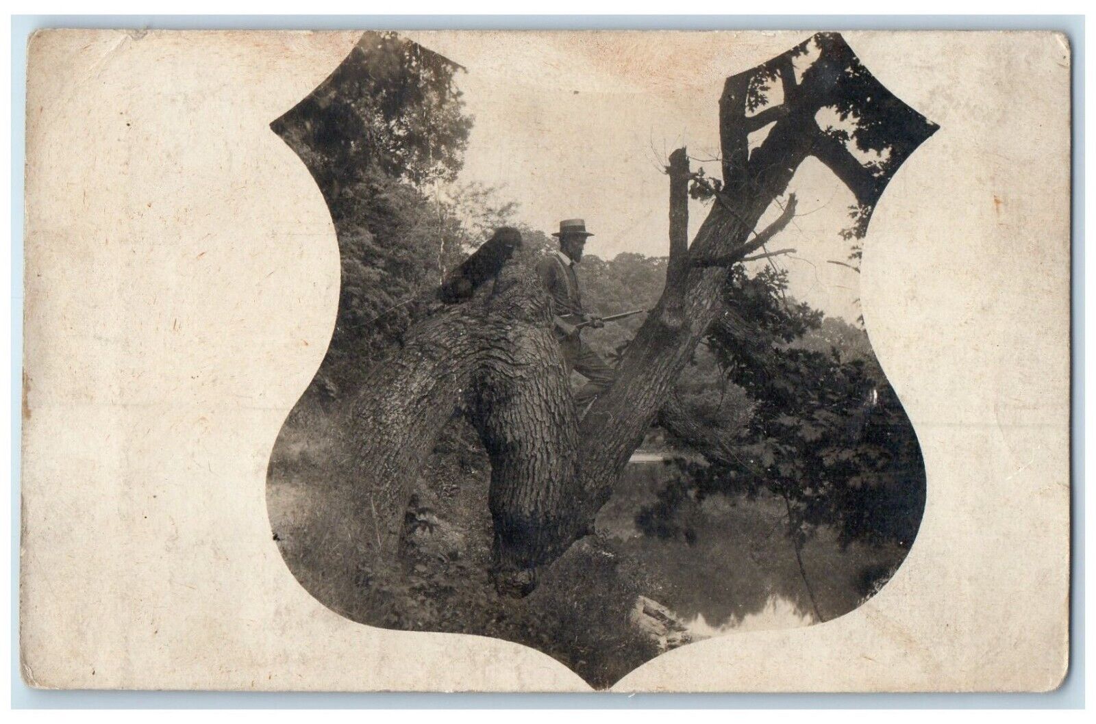 c1910's Hunter Sitting On Bent Indian Tree With Rifle RPPC Photo Postcard