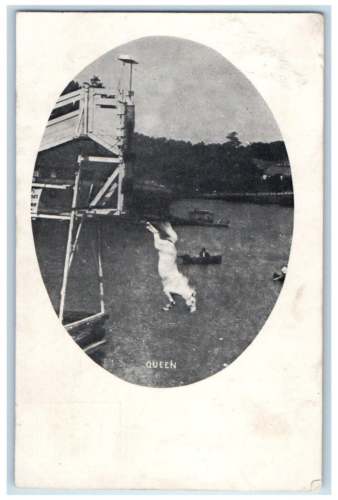 c1905 Horse Diving Canoeing Queen Hold To Light HTL Unposted Antique Postcard