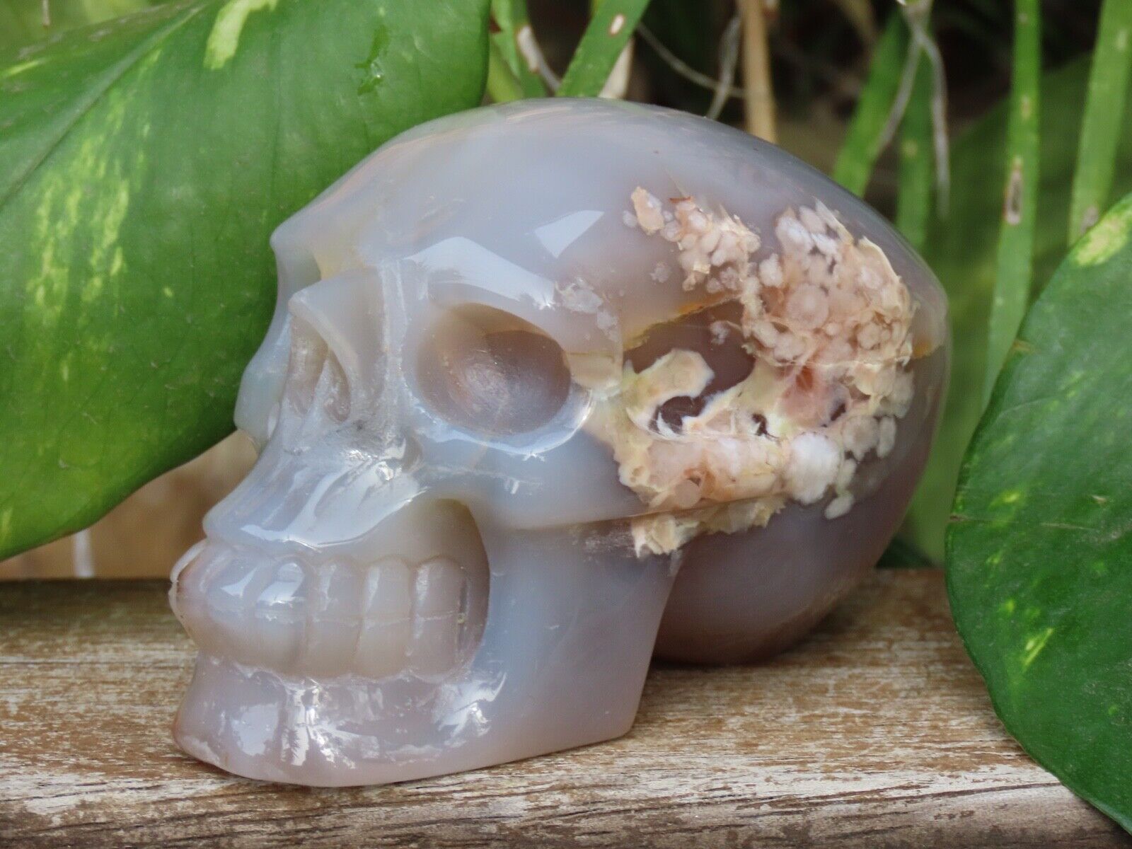 Stunning Unique Polished Flower Agate Crystal Skull 80mm Long 331Grams 50mm Tall