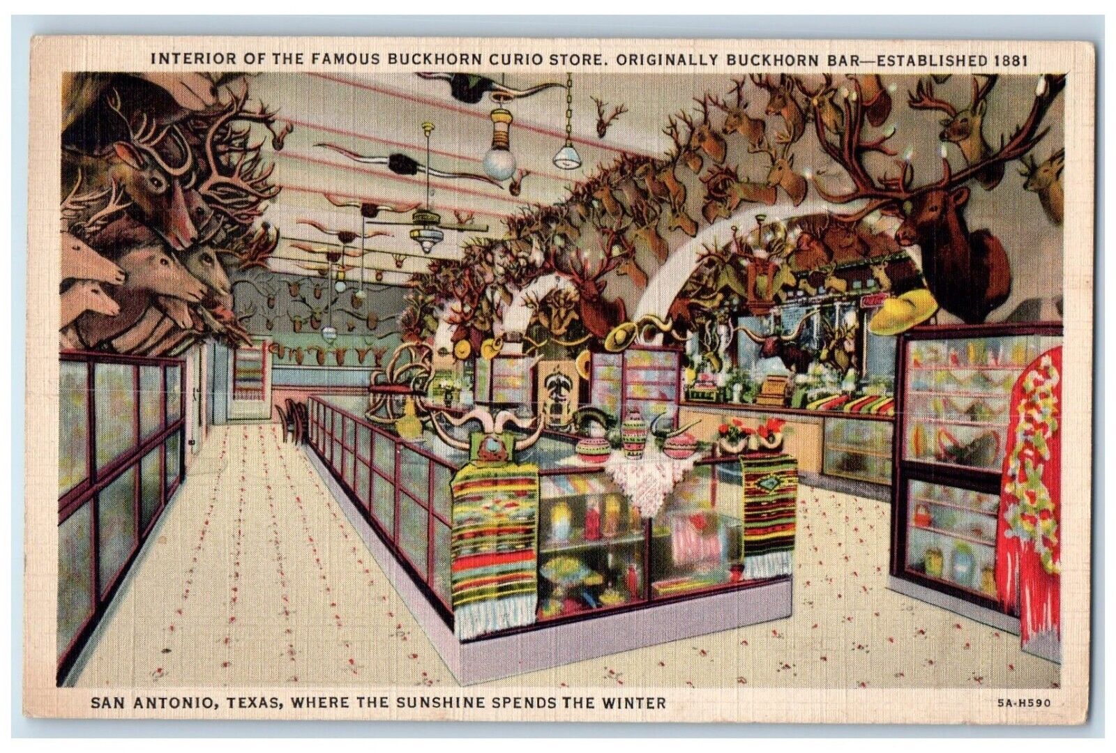 1937 Interior Famous Buckhorn Curio Store San Antonio Texas TX Vintage Postcard