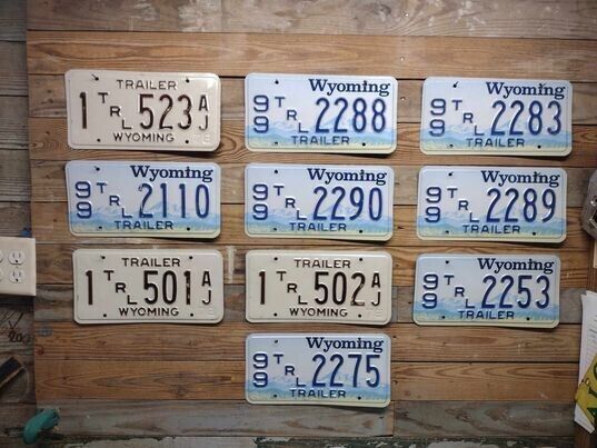 2019 Wyoming Expired Lot of (10)  License Plate Auto Tags  Emb ~ 1 tr 523