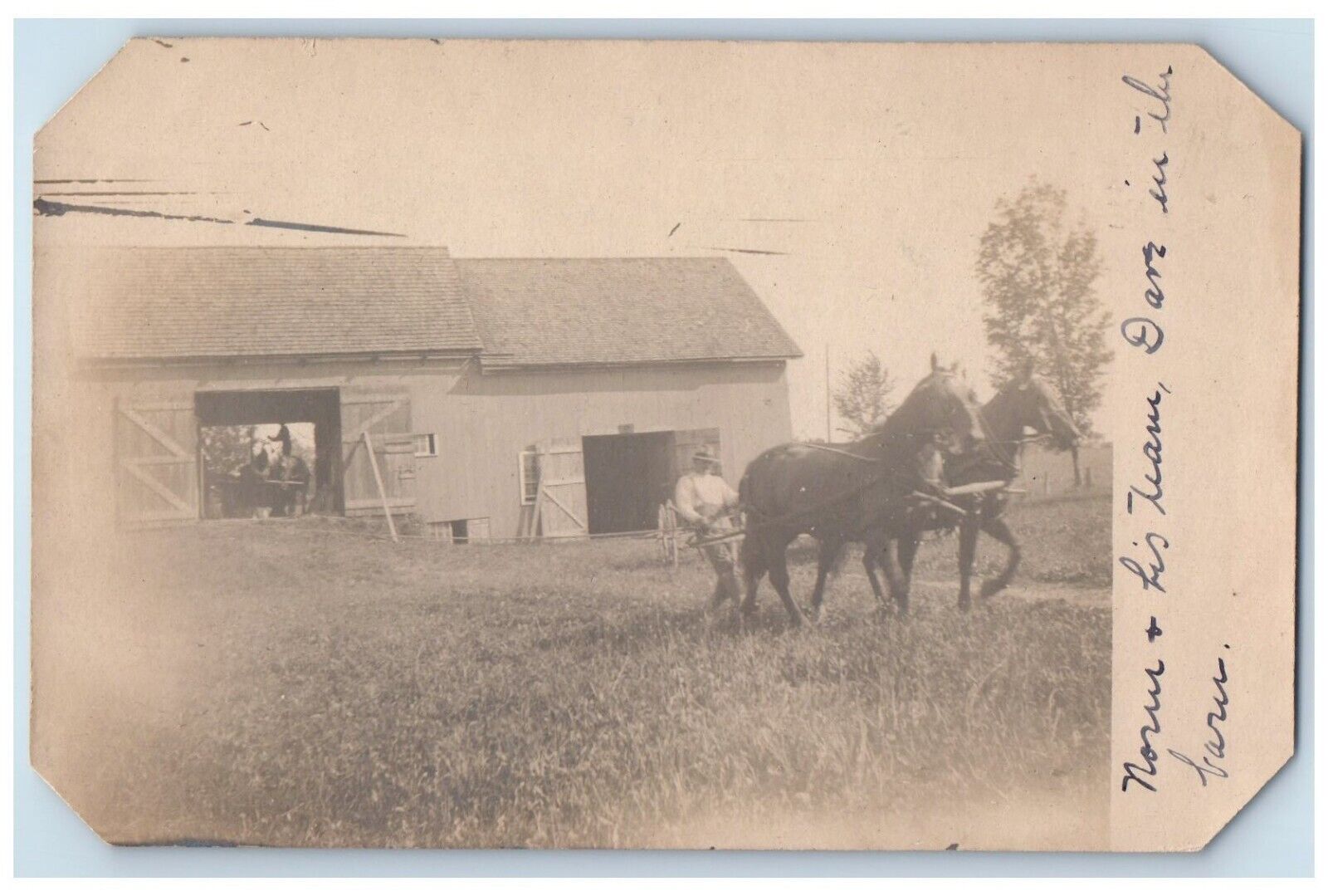 c1905 Horse Team Barn Farm Workers Field RPPC Photo Antique Postcard