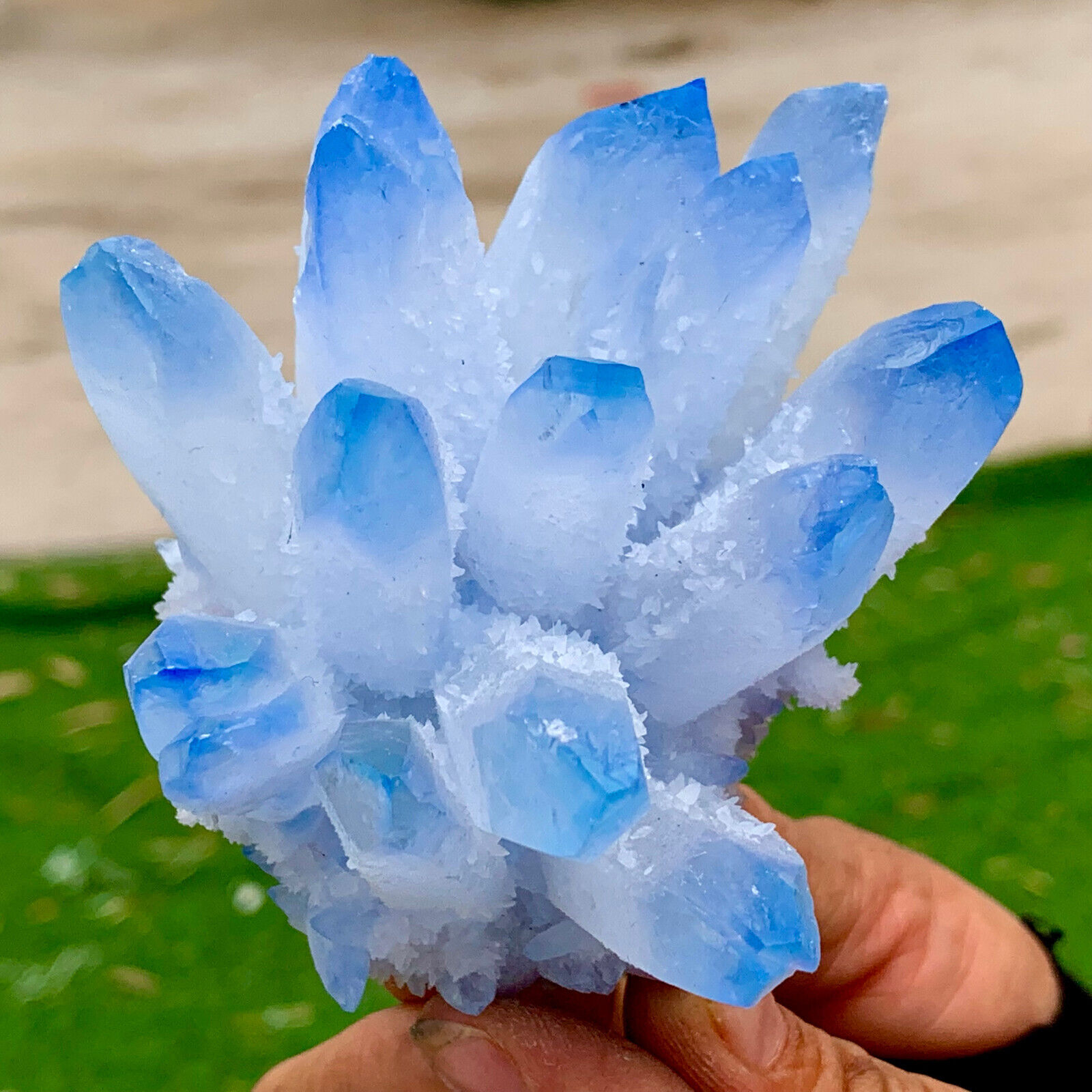 283G New Find sky blue Phantom Quartz Crystal Cluster Mineral Specimen Healing
