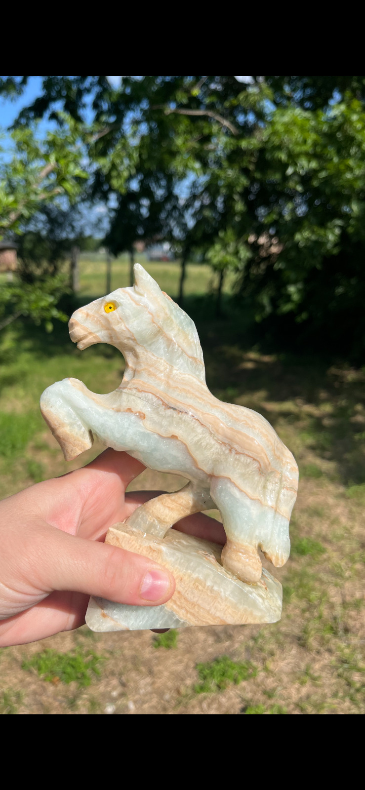 Rare and Gorgeous, Carribean Calcite Horse Crystal Carving