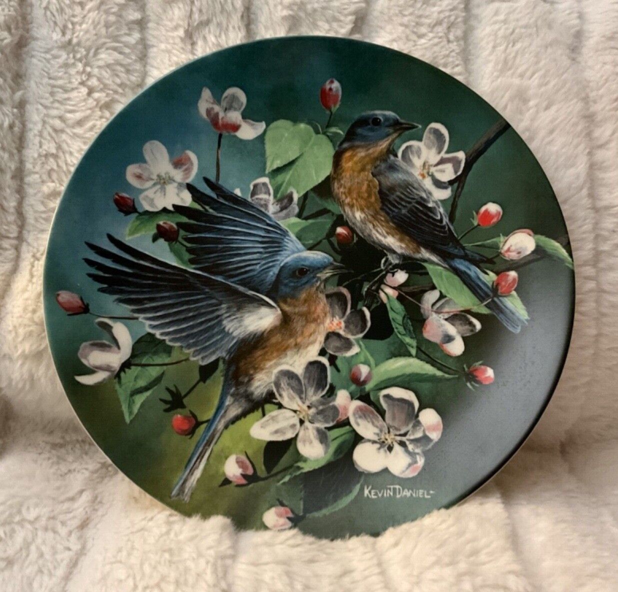 Beautiful Bluebird Collector Plate by Kevin Daniel # 3237P