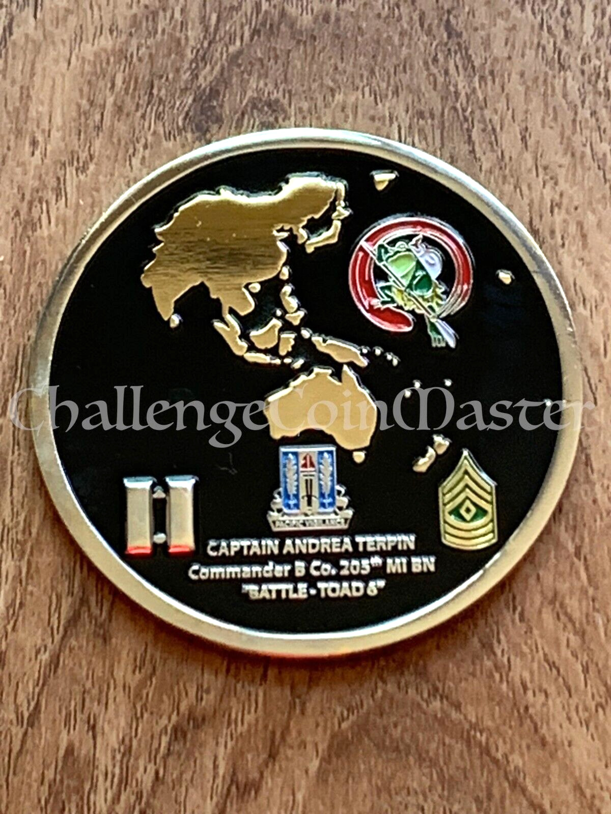 E85 205th Military Intelligence Battalion Commander Challenge Coin