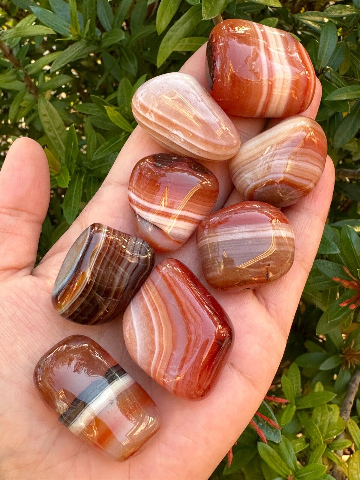 Grade A++ Red Banded Agate Pebble, 1 - 2