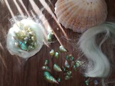 1 King and 20 Queen maireener shells in a beautiful little gift bundle picture