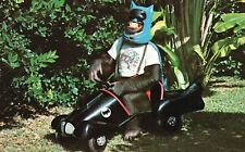 Vintage Postcard Monkey Jungle Animal Zoo Park Costume Ride Miami Florida FL picture